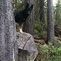 Jamie Loftis Photo 7