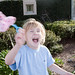 Anne Knowler Photo 12