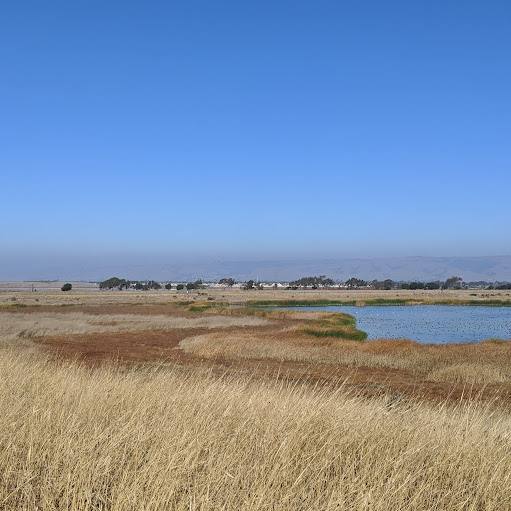 Ling Tang Photo 7