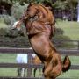 Vickie Perkins Photo 24
