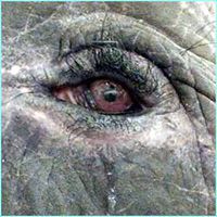 Shari Unger Photo 3