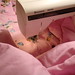 Joann Green Photo 19