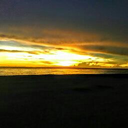 John Strickland Photo 31