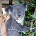 Barbara Downs Photo 20
