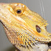Jeffery Beard Photo 8