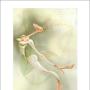 Jennifer Basinger Photo 20