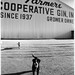 Stephen Schafer Photo 33