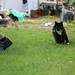 David String Photo 6