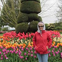 Ellen Shamblin Photo 3