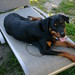 Doris Foster Photo 7