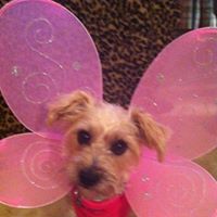 Debra Hassler Photo 11