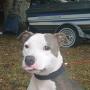 Eric Barfield Photo 23