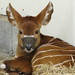 Virginia Baxter Photo 15
