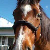 Penny Abbott Photo 7