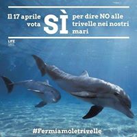 Andrea Sergi Photo 7