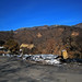 Barbara Burns Photo 48