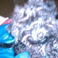 Buddy Jenkins Photo 13