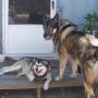 Joann Miller Photo 22