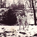 Sandy Sheffield Photo 17