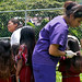 Sara Combs Photo 41