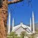 Faisal Mohammad Photo 11