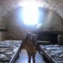 Angela Ashcraft Photo 12