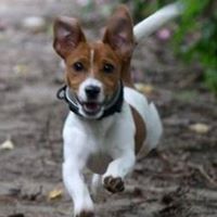 Carole Craddock Photo 8