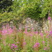 Heather Macnaughton Photo 16