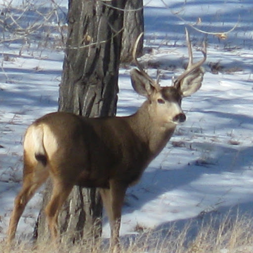 Tammy Hardin Photo 30