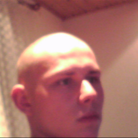Dennis Pieper Photo 2