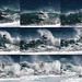 Robbie Gibson Photo 13