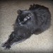 Robert Grover Photo 42
