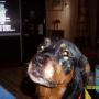 Patricia Mccaffrey Photo 27