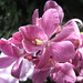 Frances Dyer Photo 16