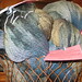 Katherine Schaeffer Photo 11