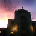 Concepcion Herrera Photo 8