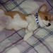 Kirby Lay Photo 3