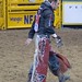 Steven Peebles Photo 29