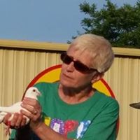 Michele Irwin Photo 18
