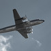 Douglas Bull Photo 11