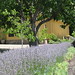 Barbara Lowry Photo 6