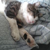 Patricia Beebe Photo 11