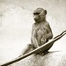 Gregory Hong Photo 15