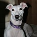 Robin Grabowski Photo 14