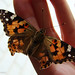 Cynthia Cordero Photo 24