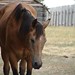 Debra Wolf Photo 19