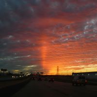 Greg Ellis Photo 44