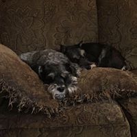 Rose Gruber Photo 5