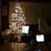 Wendy Turner Photo 30