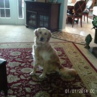 Michele Bulkley Photo 1